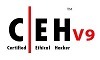 Certified Ethical Hacker (CEH)